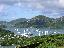 Calypso and Coconuts 2003