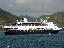 Maasdam