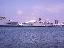 TSS Carnivale in Miami, March 1983